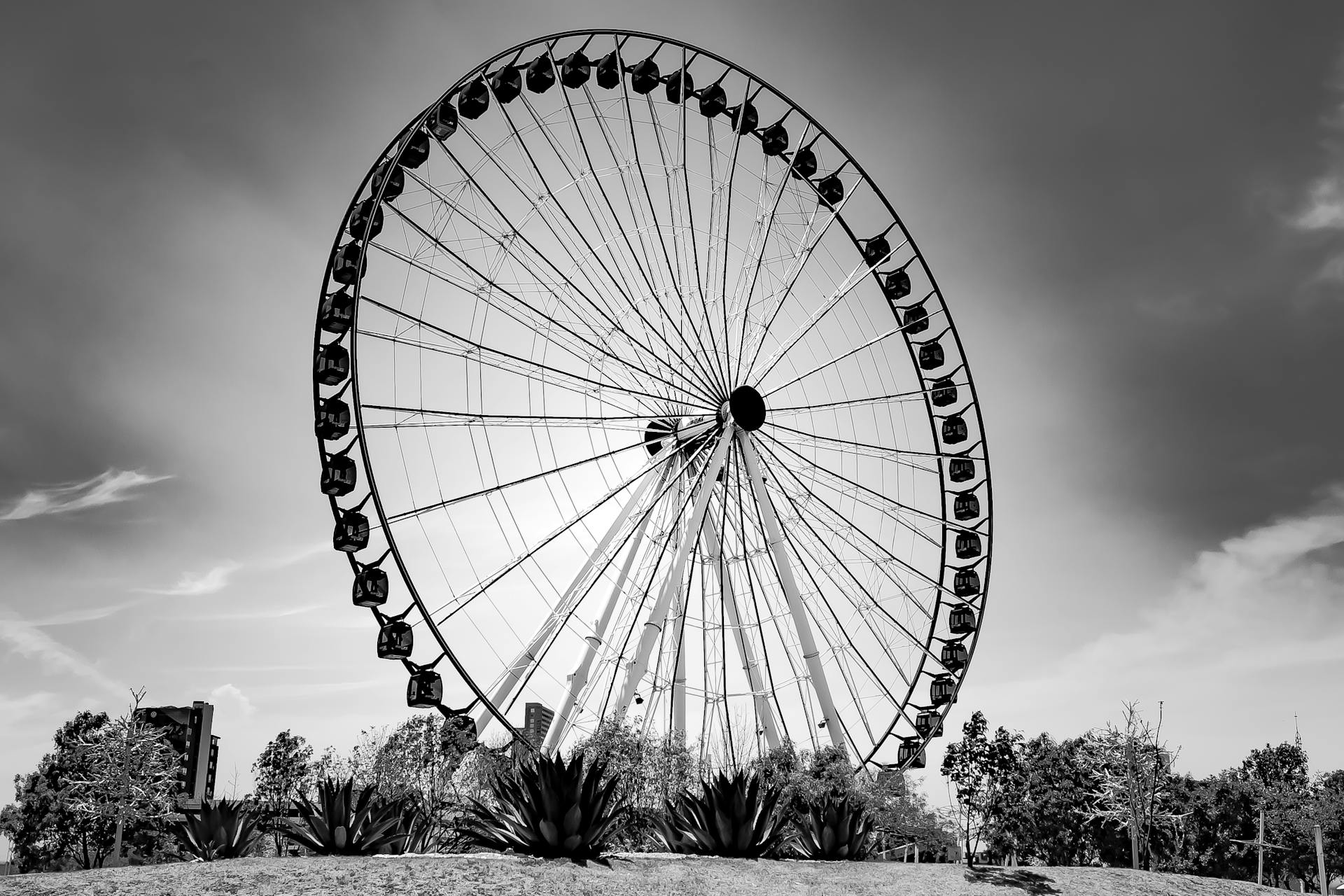 pexels-photo-16879342