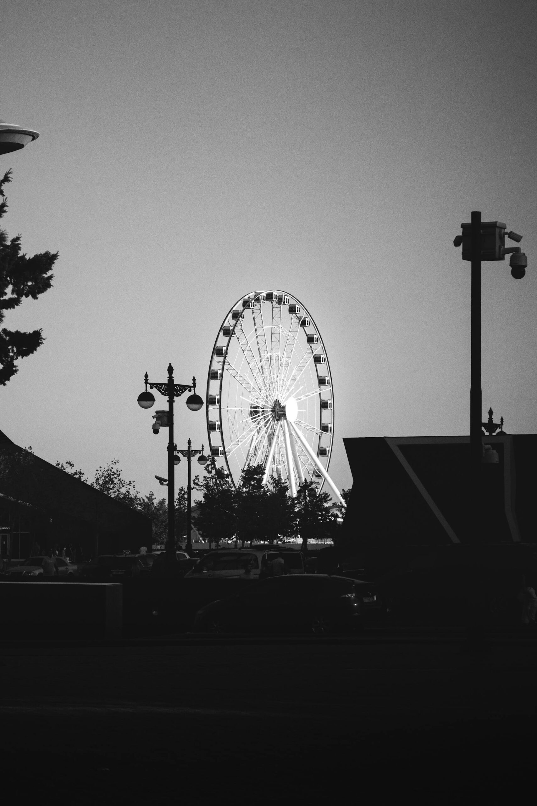 pexels-photo-18293981