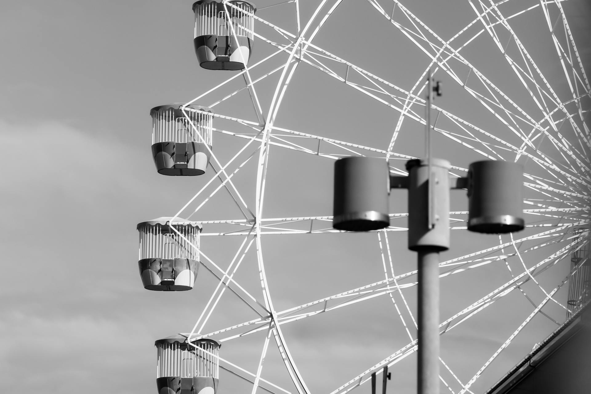 pexels-photo-21633537