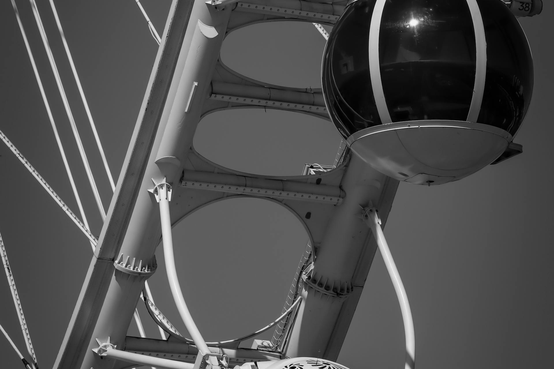 pexels-photo-26798631